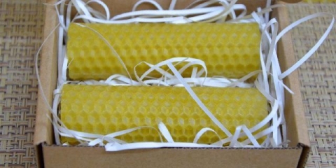 Pčelinji vosak: koristi i štete